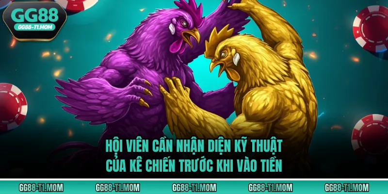 Hội viên cần nhận diện kỹ thuật của kê chiến trước khi vào tiền