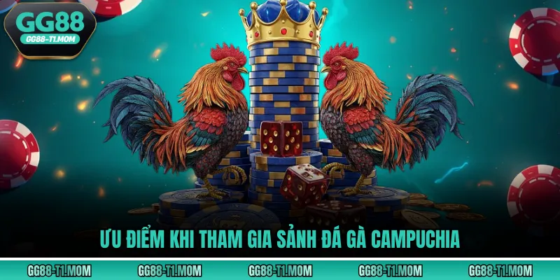 Ưu điểm khi tham gia sảnh đá gà Campuchia